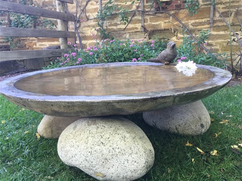 deep bird bath dish